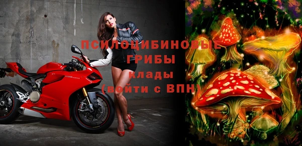 PSILOCYBIN Горняк